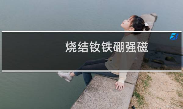 烧结钕铁硼强磁