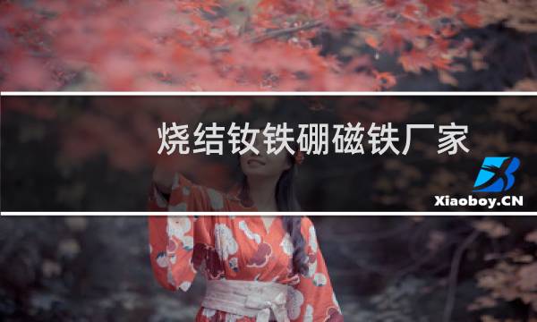 烧结钕铁硼磁铁厂家