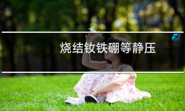 烧结钕铁硼等静压