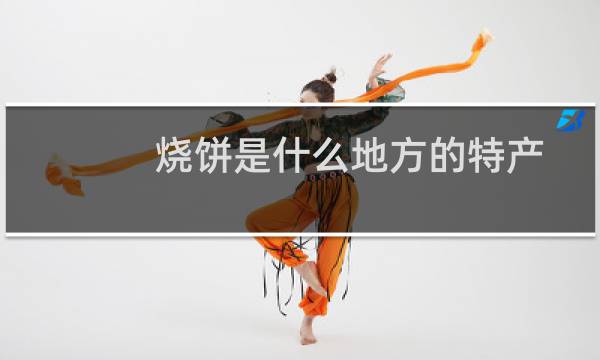 烧饼是什么地方的特产图片