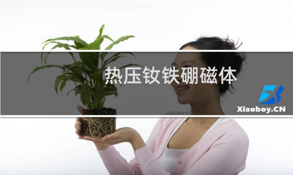 热压钕铁硼磁体