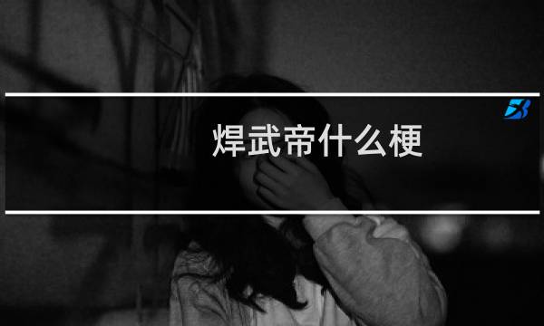 焊武帝什么梗