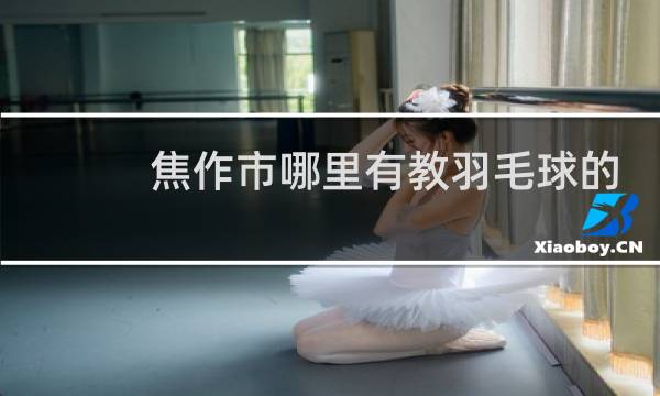 焦作市哪里有教羽毛球的