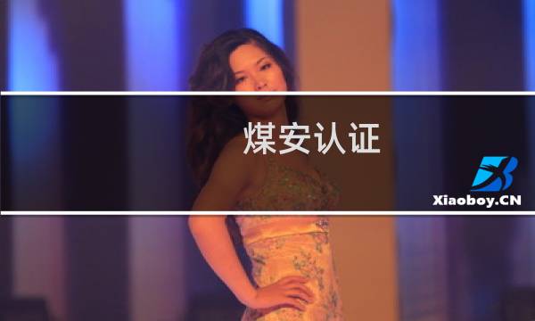 煤安认证