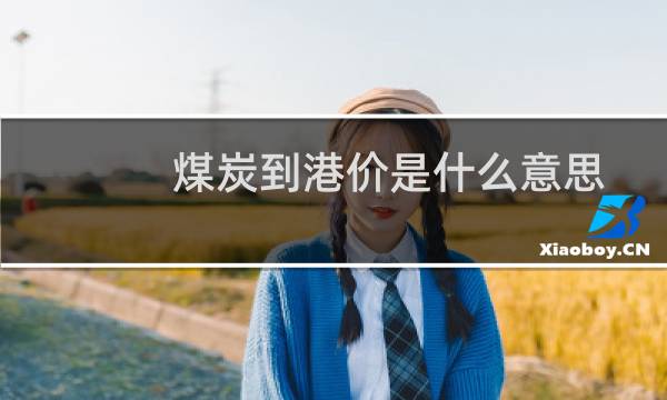 煤炭到港价是什么意思图片