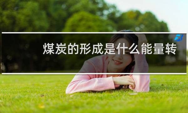 煤炭的形成是什么能量转化图片