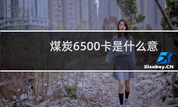 煤炭6500卡是什么意思图片