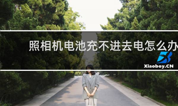 照相机电池充不进去电怎么办