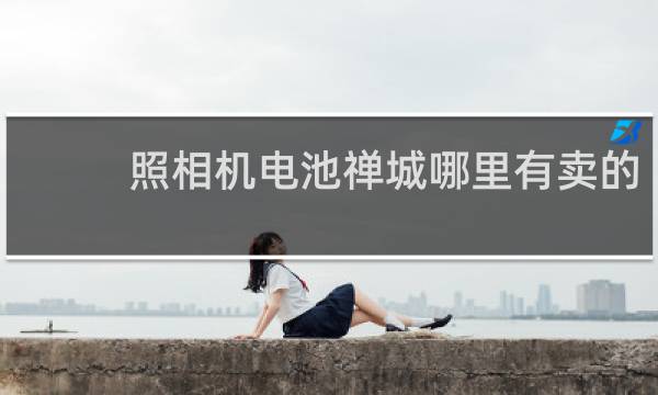 照相机电池禅城哪里有卖的