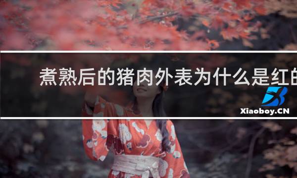 煮熟后的猪肉外表为什么是红的