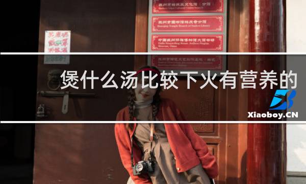 煲什么汤比较下火有营养的