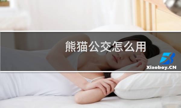 熊猫公交怎么用?熊猫公交使用方法步骤(附下载)