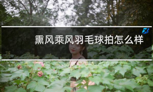 熏风乘风羽毛球拍怎么样