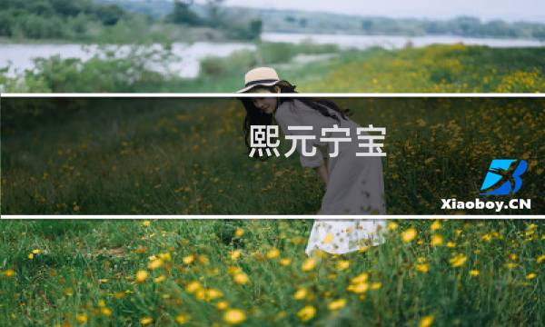 熙元宁宝图片