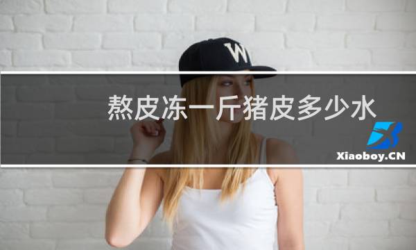 熬皮冻一斤猪皮多少水（熬皮冻一斤猪皮多少水）图片