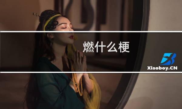 燃什么梗