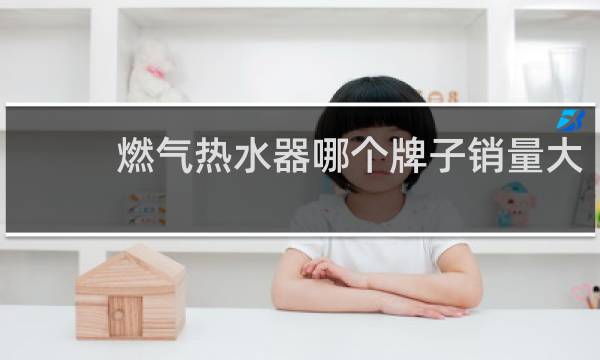 燃气热水器哪个牌子销量大