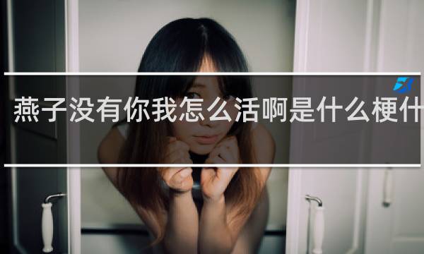燕子没有你我怎么活啊是什么梗什么梗