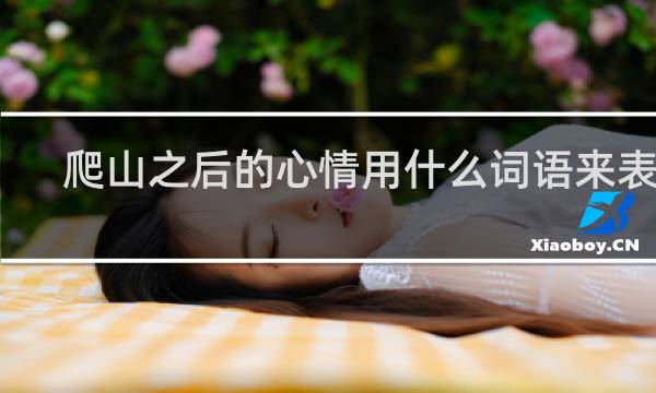 爬山之后的心情用什么词语来表达