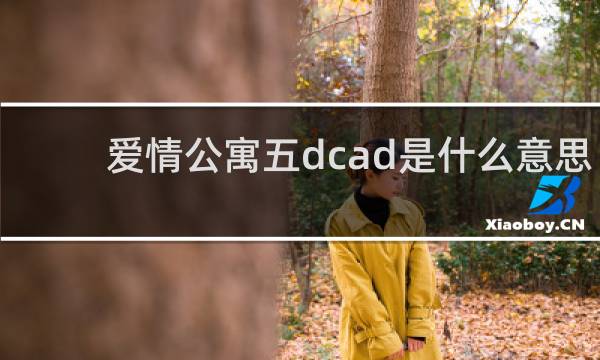 爱情公寓五dcad是什么意思