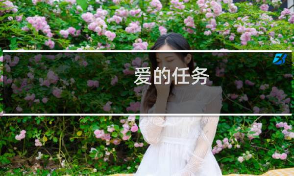 爱的任务