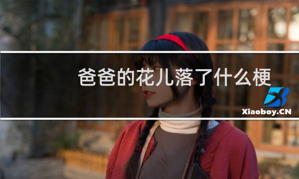 爸爸的花儿落了什么梗