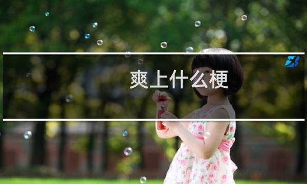 爽上什么梗