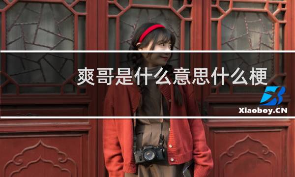 爽哥是什么意思什么梗