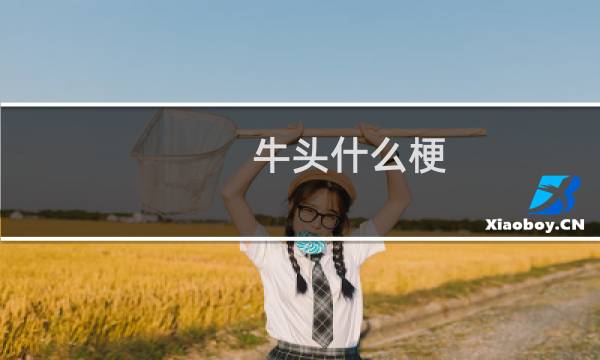 牛头什么梗