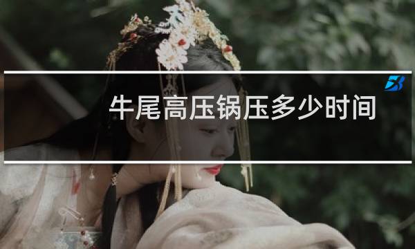 牛尾高压锅压多少时间