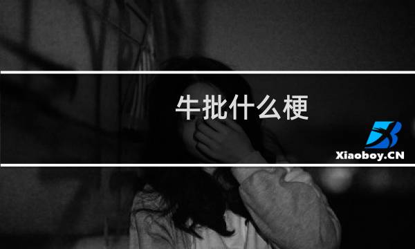 牛批什么梗