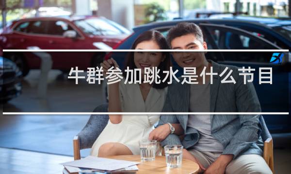 牛群参加跳水是什么节目