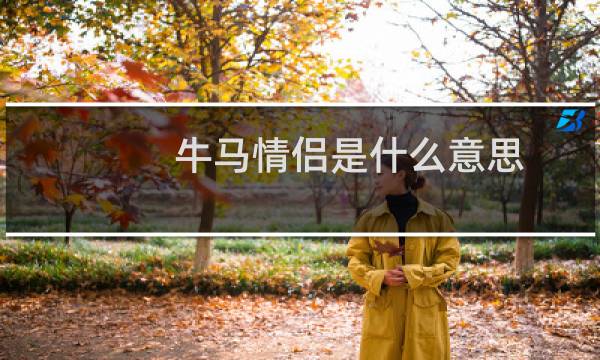 牛马情侣是什么意思