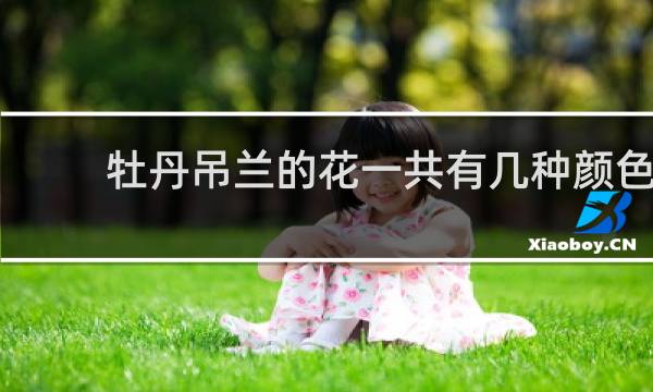 牡丹吊兰的花一共有几种颜色