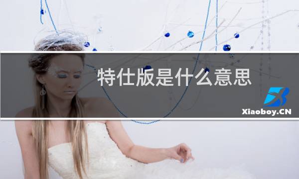特仕版是什么意思（TS版是什么意思）图片
