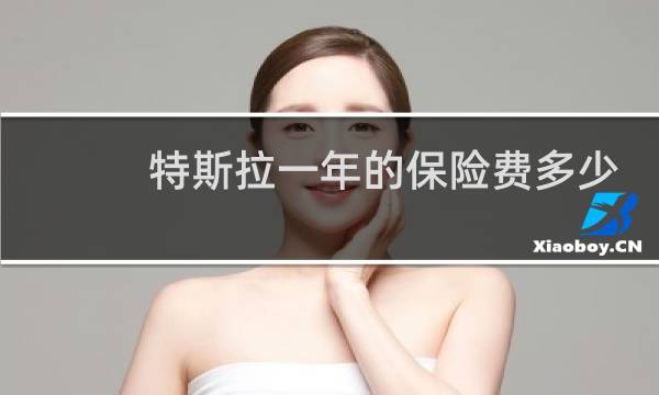 特斯拉一年的保险费多少