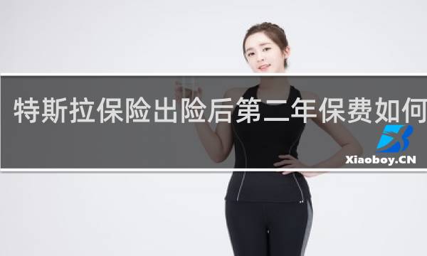 特斯拉保险出险后第二年保费如何计算