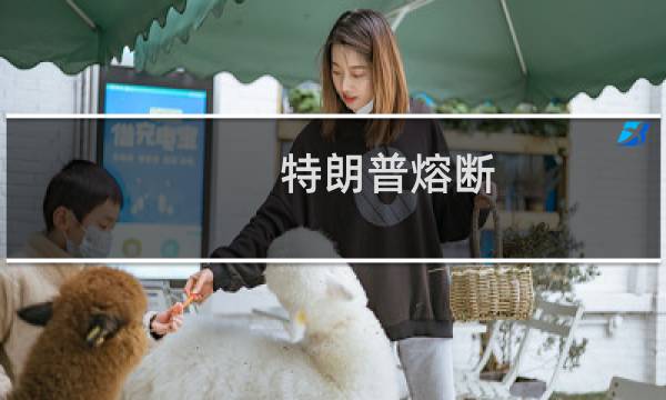 特朗普熔断（Trump Circuit Breaker）什么梗