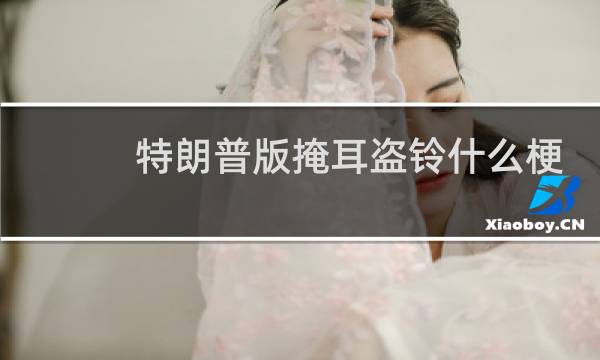 特朗普版掩耳盗铃什么梗