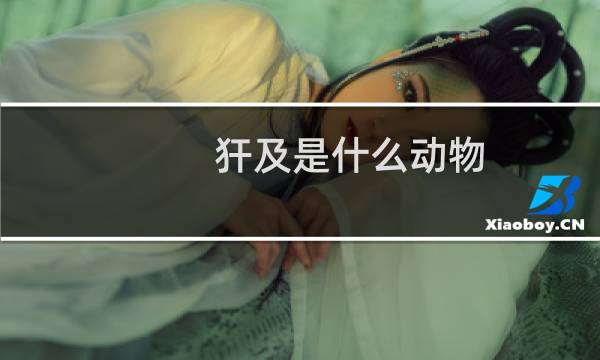 犴及是什么动物