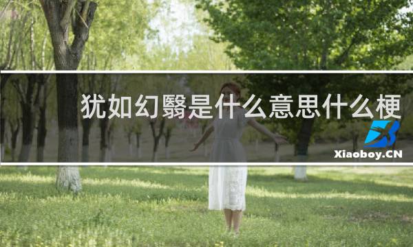 犹如幻翳是什么意思什么梗