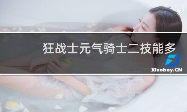 狂战士元气骑士二技能多少钱图片