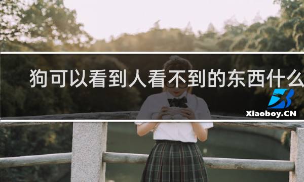 狗可以看到人看不到的东西什么梗