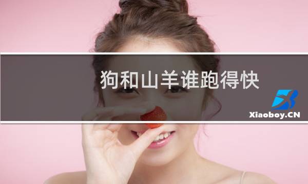 狗和山羊谁跑得快