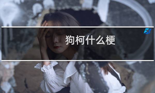 狗柯什么梗