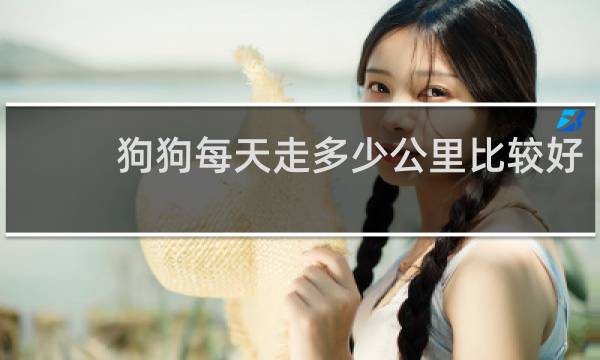 狗狗每天走多少公里比较好