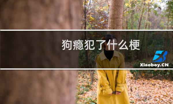 狗瘾犯了什么梗