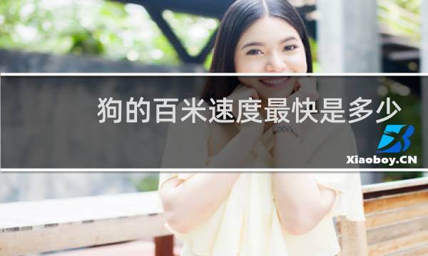狗的百米速度最快是多少