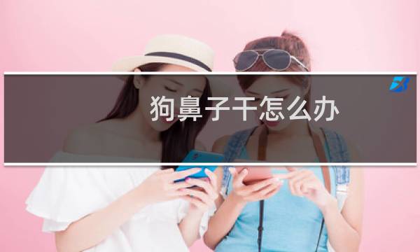 狗鼻子干怎么办（有哪些原因）