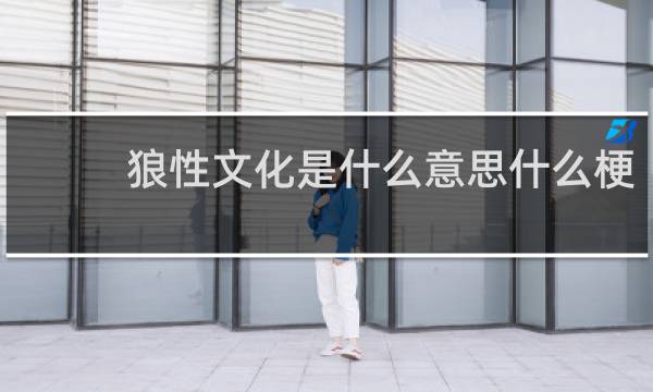 狼性文化是什么意思什么梗